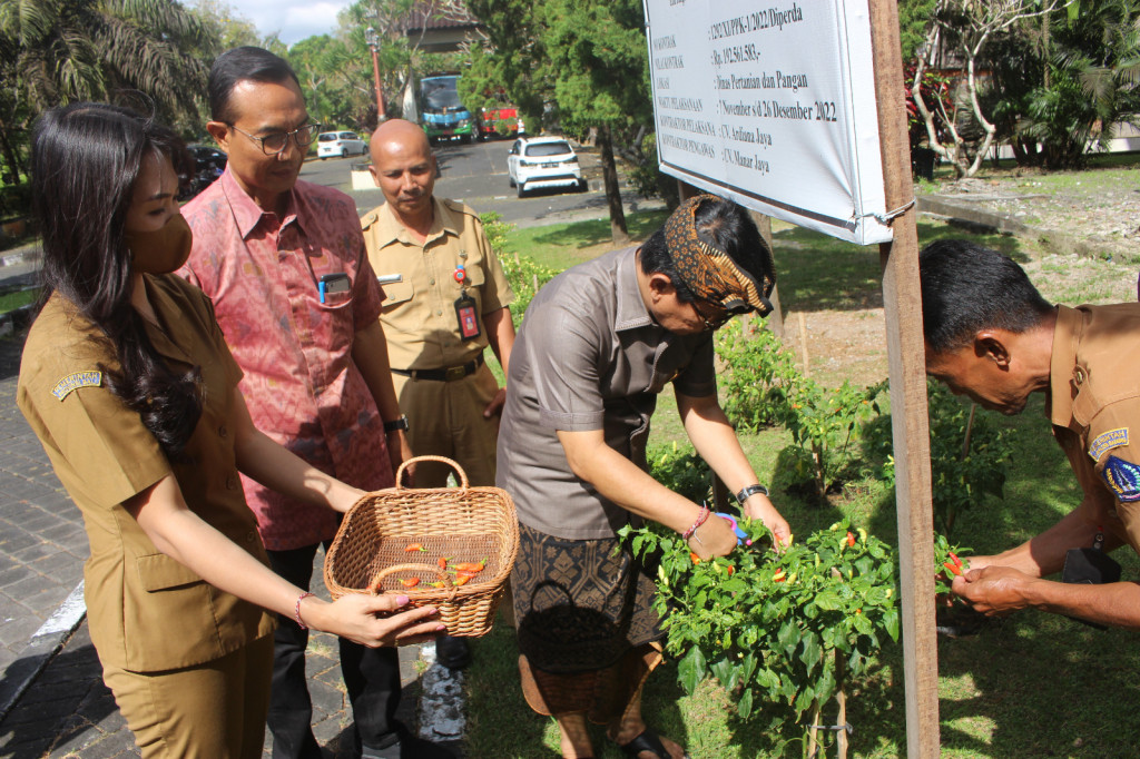 Panen Perdana di Kebun Edukasi Matanabe